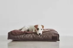 MiaCara Divo Hondenkussen Medium Slate -Exporteren Accessoires & Meubels Winkel x886x886 miacara unica hondenplaid large11.jpg.pagespeed.ic .q52raqSVTu