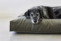 MiaCara Velluto Hondenkussen Small Nude -Exporteren Accessoires & Meubels Winkel x886x886 miacara velluto hondenkussen large4.jpg.pagespeed.ic .eNEPec7q3Q 1