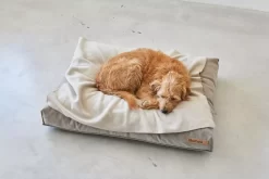 MiaCara Velluto Hondenkussen Medium Greige -Exporteren Accessoires & Meubels Winkel x886x886 miacara velluto hondenkussen large7.jpg.pagespeed.ic .j82ewdixs9