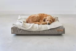 MiaCara Velluto Hondenkussen Small Nude -Exporteren Accessoires & Meubels Winkel x886x886 miacara velluto hondenkussen large8.jpg.pagespeed.ic .Upj1Ozflgz 1