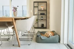 MiaCara Velluto Hondenmand Medium Nude -Exporteren Accessoires & Meubels Winkel x886x886 miacara velluto hondenmand large3.jpg.pagespeed.ic .E9qYajbRdx