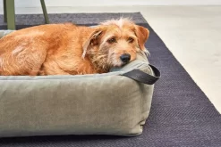 MiaCara Velluto Hondenmand Medium Nude -Exporteren Accessoires & Meubels Winkel x886x886 miacara velluto hondenmand large6.jpg.pagespeed.ic .aXN3H 21OY