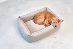 MiaCara Velluto Hondenmand Medium Nude -Exporteren Accessoires & Meubels Winkel x886x886 miacara velluto hondenmand large9.jpg.pagespeed.ic .IA9vkAoJ5d