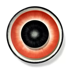 Serax Dé Tableware By Ann Demeulemeester Dinerbord Ø24 White/red 2 -Exporteren Accessoires & Meubels Winkel x886x886 serax d tableware by ann demeulemeester ontbijtbord 17 524.jpg.pagespeed.ic .HAU KIXk2V