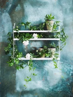 String Furniture Pocket Wandkast Sage -Exporteren Accessoires & Meubels Winkel x886x886 string pocket wandkast sfeer 9.jpg.pagespeed.ic .DQS7x4VEmD