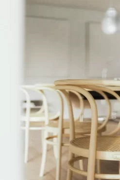 Thonet 209 Stoel Licht Beuken -Exporteren Accessoires & Meubels Winkel x886x886 thonet 209 stoel5.jpeg.pagespeed.ic .0Jb 5bXjfE