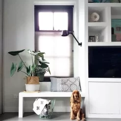 Tonone Tweedekansje - Bolt Sidefit Install Wandlamp Flux Green -Exporteren Accessoires & Meubels Winkel x886x886 tonone bolt sidefit install wandlamp.jpg.pagespeed.ic . Yogy5CqZE